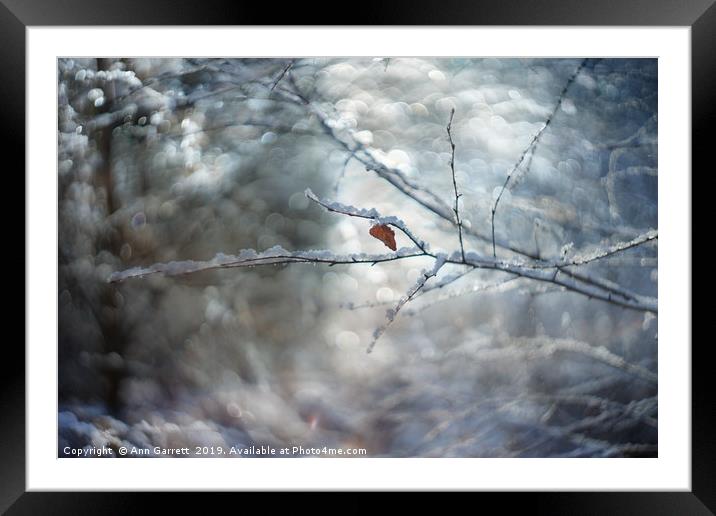 Winter Sparkles Framed Mounted Print by Ann Garrett