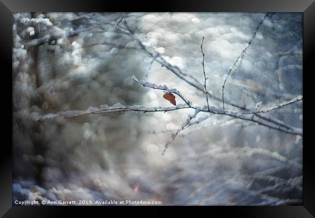 Winter Sparkles Framed Print by Ann Garrett