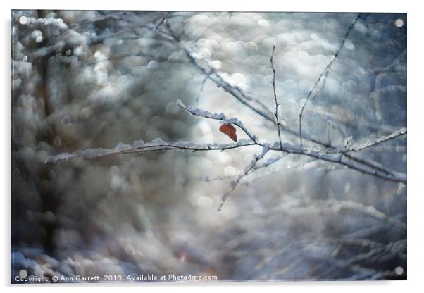 Winter Sparkles Acrylic by Ann Garrett