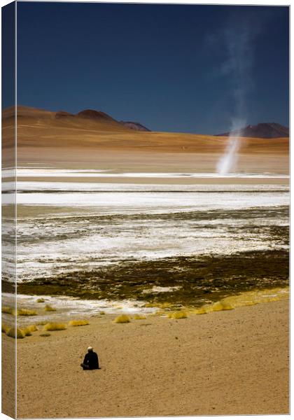 Atacama Desert, Bolivia Canvas Print by Phil Spalding
