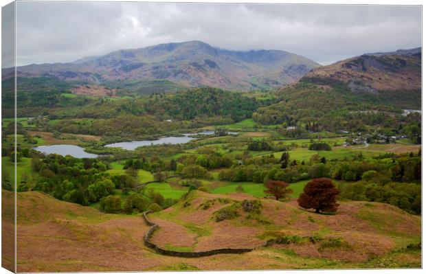 Elterwater View Canvas Print by CHRIS BARNARD