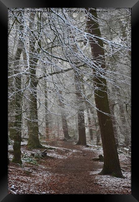 Winter woodland Framed Print by Andrew Heaps