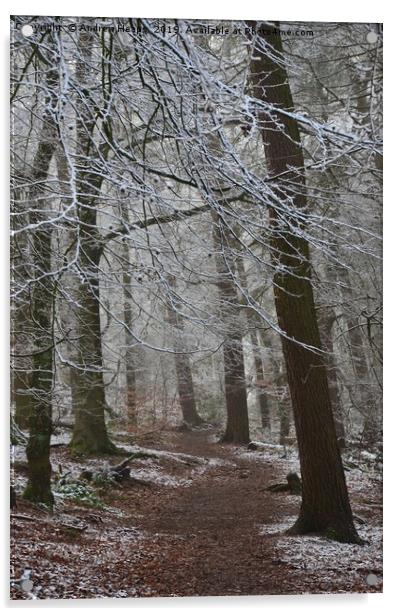 Winter woodland Acrylic by Andrew Heaps