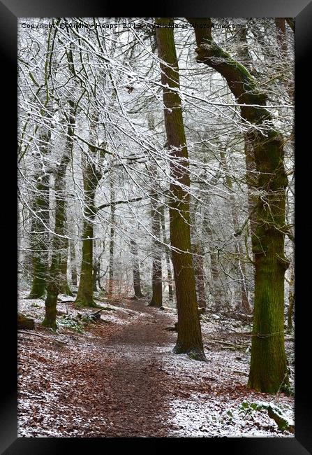 Winter scene Framed Print by Andrew Heaps