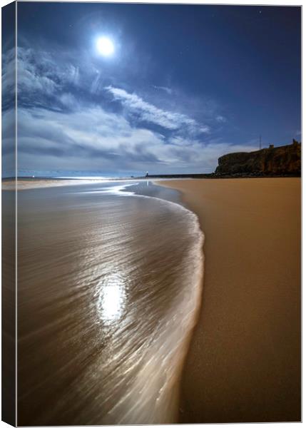Wave Line - King Edward's Bay, Tynemouth Canvas Print by Paul Appleby