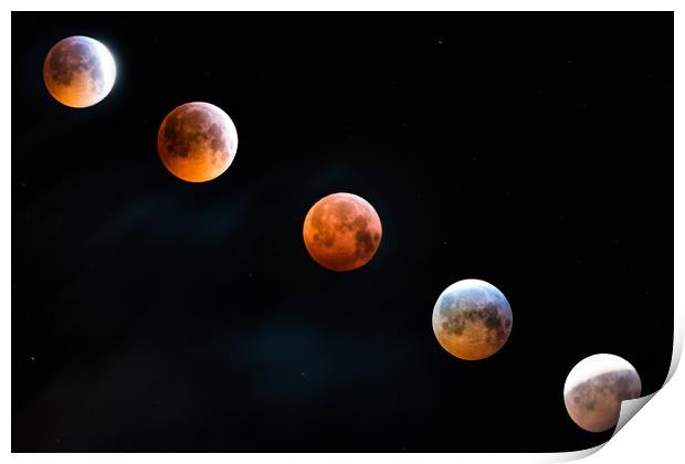 Through a lunar eclipse Print by Alf Damp
