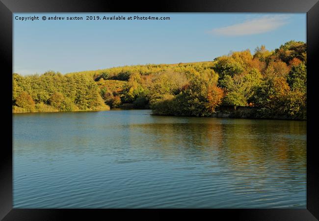 WATER AND TREES Framed Print by andrew saxton