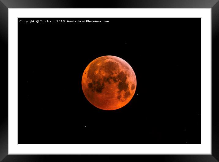 Blood Moon Rises Framed Mounted Print by Tom Hard