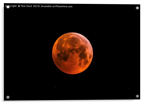 Blood Moon Rises Acrylic by Tom Hard