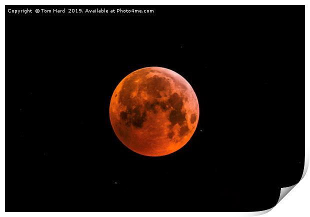 Blood Moon Rises Print by Tom Hard
