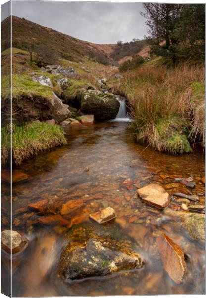 River of Gold Canvas Print by Images of Devon