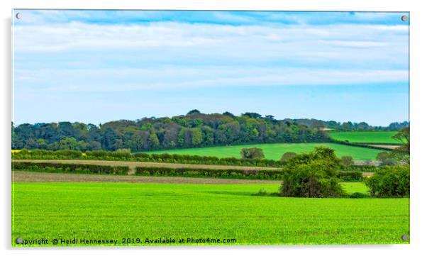 Serene North Norfolk Countryside Acrylic by Heidi Hennessey