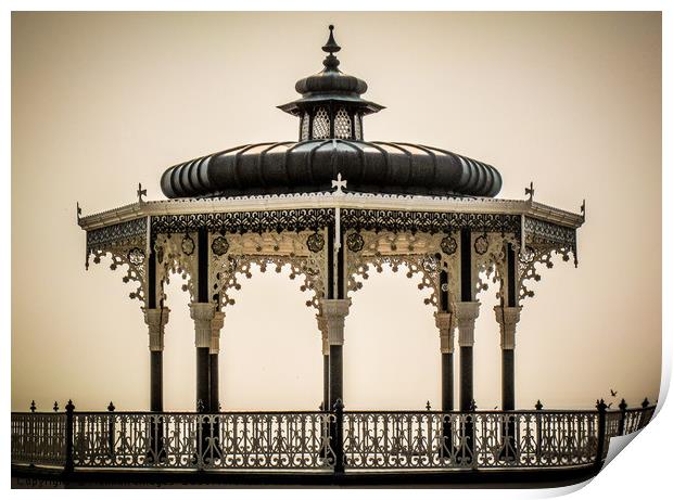 The Birdcage Print by Hannan Images