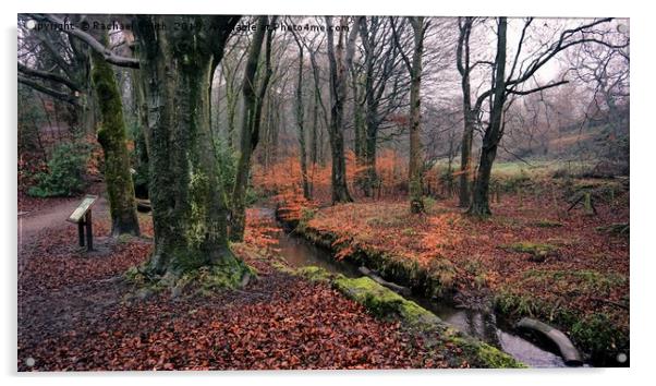 Etherow Woods Acrylic by Rachael Smith