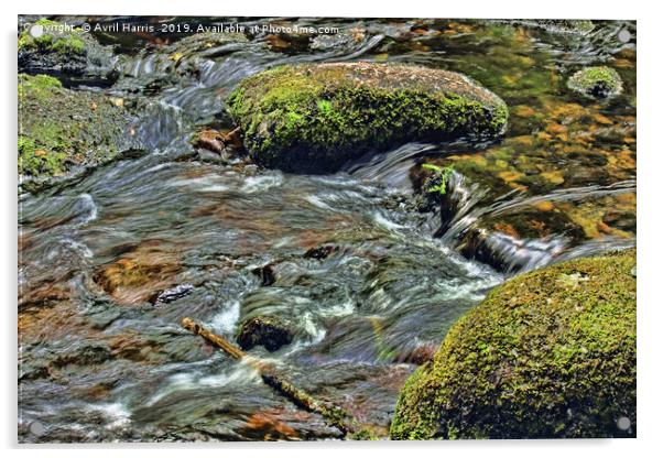 River Dart at Dartmeet Dartmoor Acrylic by Avril Harris
