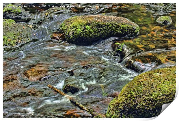 River Dart at Dartmeet Dartmoor Print by Avril Harris