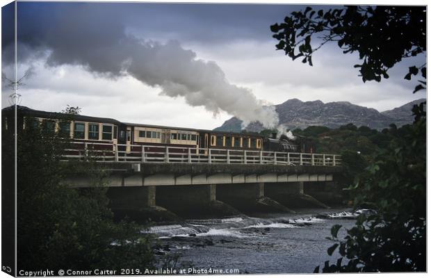 Train flying over a bridge Canvas Print by Connor Carter