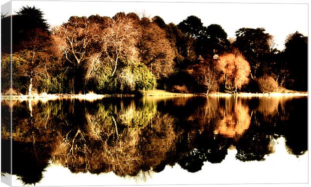 Trees and Lake Canvas Print by Stephen Maxwell
