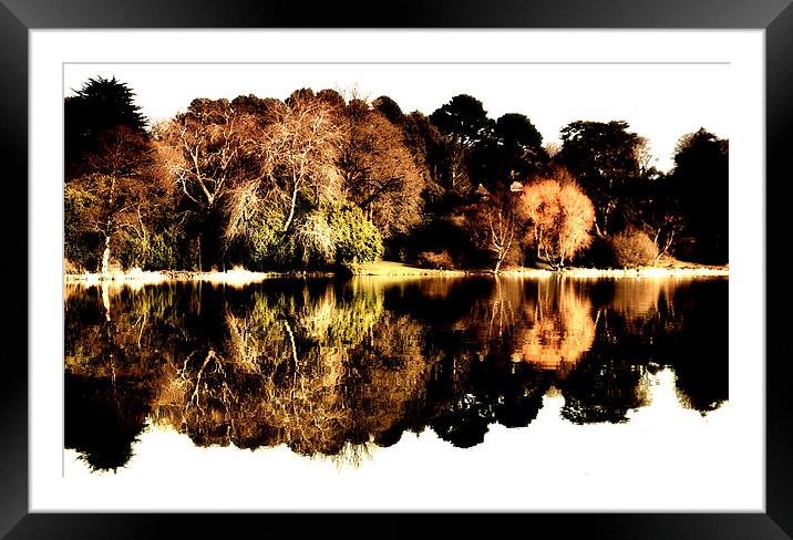 Trees and Lake Framed Mounted Print by Stephen Maxwell