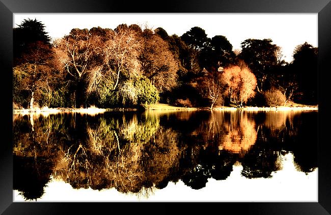 Trees and Lake Framed Print by Stephen Maxwell