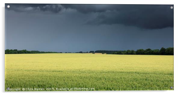 Crops under dark thunder skies  Acrylic by Chris Warren