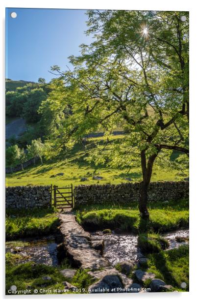 Bridge over Malham Beck Malham Yorkshire Acrylic by Chris Warren