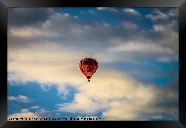 Solo Flight Framed Print by Hannan Images
