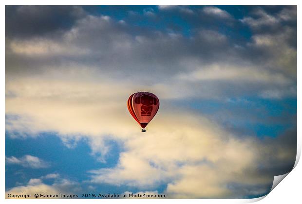 Solo Flight Print by Hannan Images