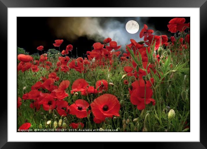 "Moonlit  Poppies" Framed Mounted Print by ROS RIDLEY