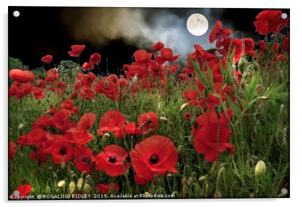 "Moonlit  Poppies" Acrylic by ROS RIDLEY