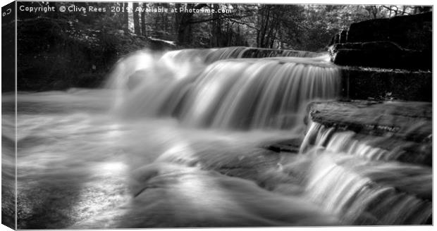 Mono waterfall Canvas Print by Clive Rees