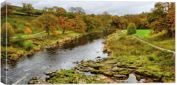 The River Wharfe Yorkshire Canvas Print by Diana Mower