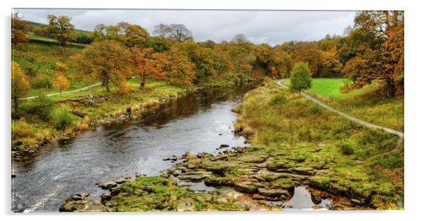 The River Wharfe Yorkshire Acrylic by Diana Mower
