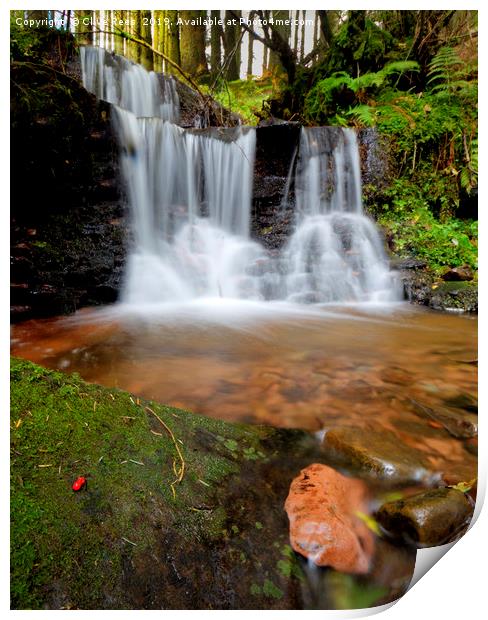 Portrait view of waterfall Print by Clive Rees