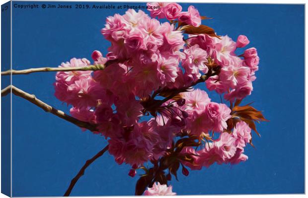 Artistic Pink Cherry Blossom Canvas Print by Jim Jones