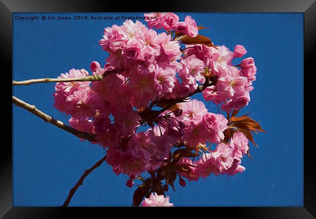 Artistic Pink Cherry Blossom Framed Print by Jim Jones