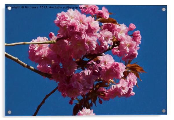 Artistic Pink Cherry Blossom Acrylic by Jim Jones