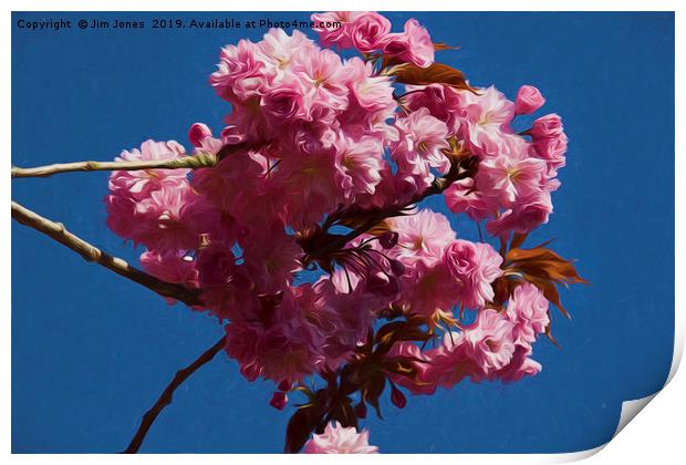 Artistic Pink Cherry Blossom Print by Jim Jones