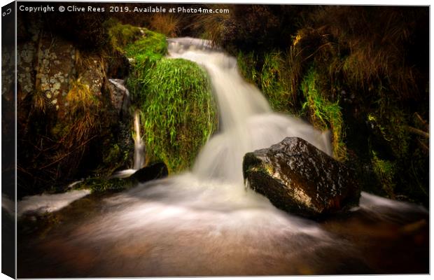 Stream Canvas Print by Clive Rees