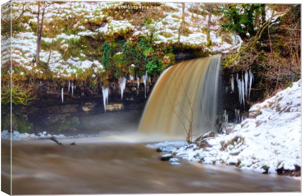 Waterfall in snow Canvas Print by Clive Rees