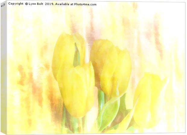Yellow Tulips Canvas Print by Lynn Bolt