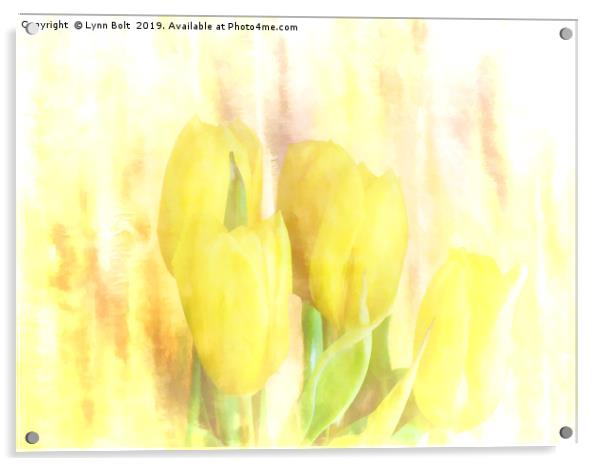 Yellow Tulips Acrylic by Lynn Bolt