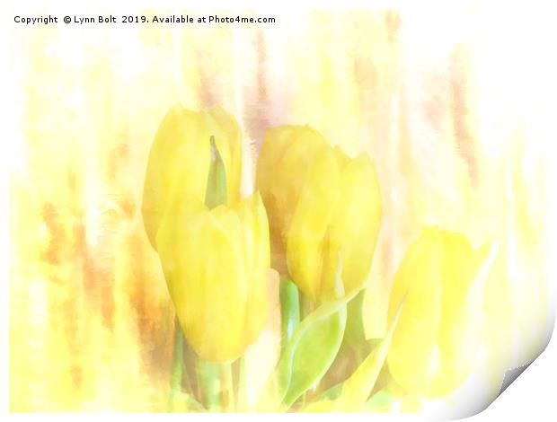 Yellow Tulips Print by Lynn Bolt