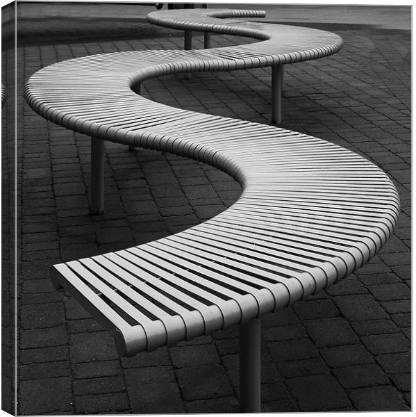 Funky Bench..15th Feb 2011 Canvas Print by Donna Collett