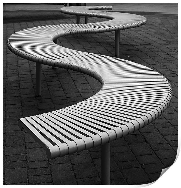 Funky Bench..15th Feb 2011 Print by Donna Collett