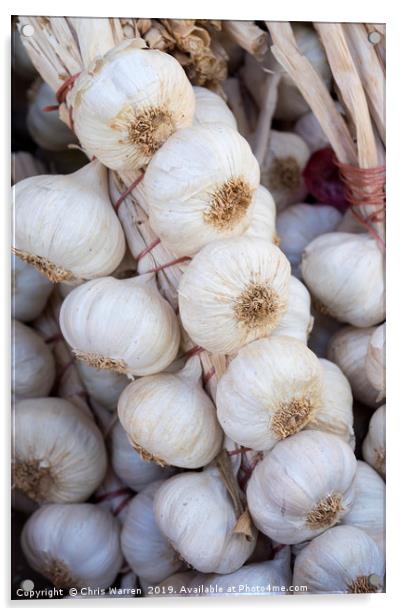 A string of tied fresh garlic Acrylic by Chris Warren