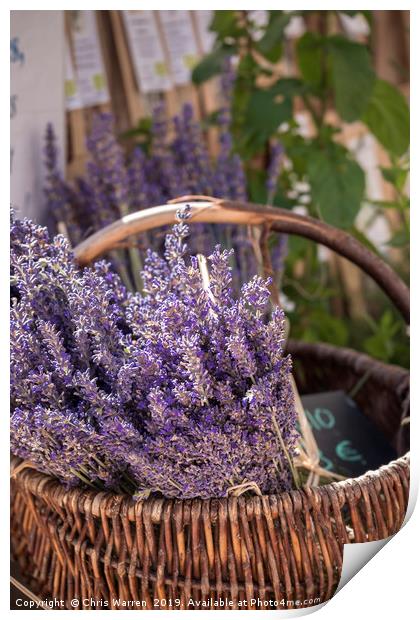 A basket of lavender Print by Chris Warren