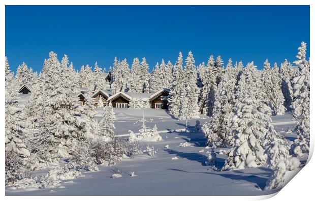 Winter in Oppland Norway Print by Hamperium Photography