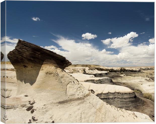 Bisti Wilderness  Canvas Print by DiFigiano Photography