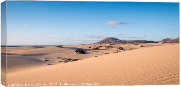 Sand Dunes Corralejo Fuerteventura evening light Canvas Print by Chris Warren